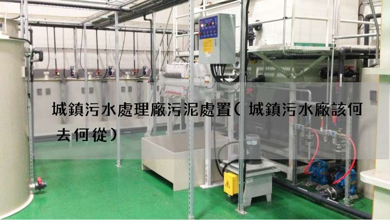 城鎮污水處理廠污泥處置(城鎮污水廠該何去何從)
